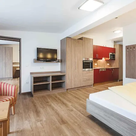 Apartmán In - Salzburger Land 42910